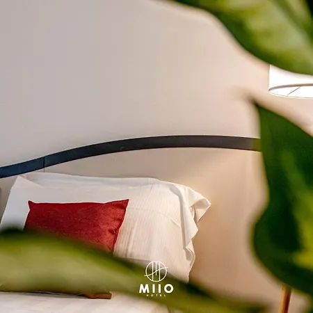 Miio Hotel 3*